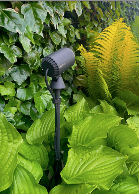 LIGHTPRO Multispike