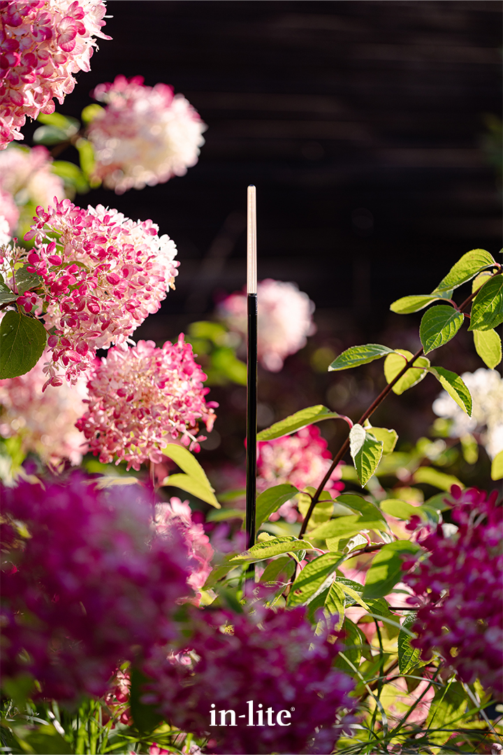 in-lite® BREEZE LOW