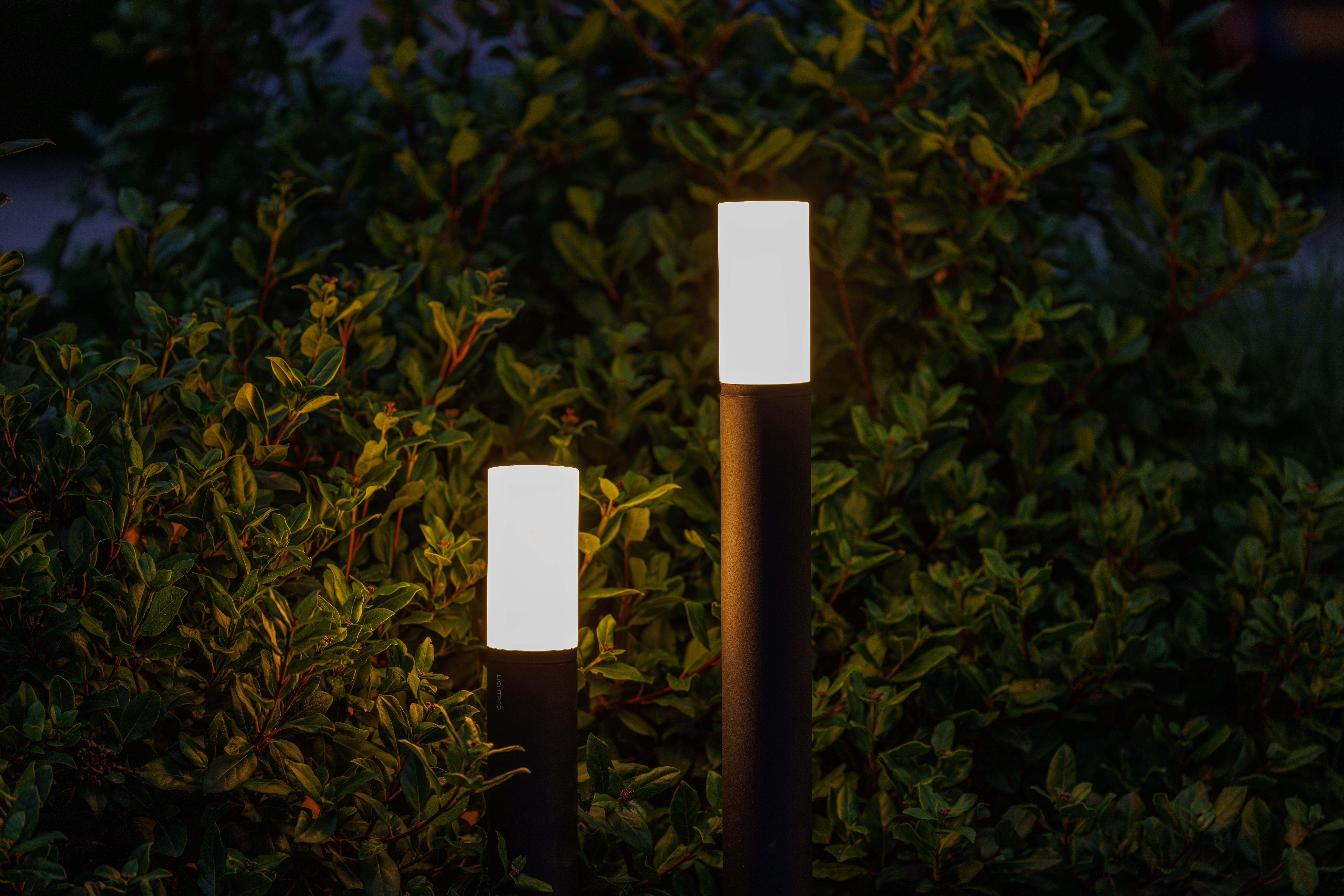 LIGHTPRO Oberon Lo 12V