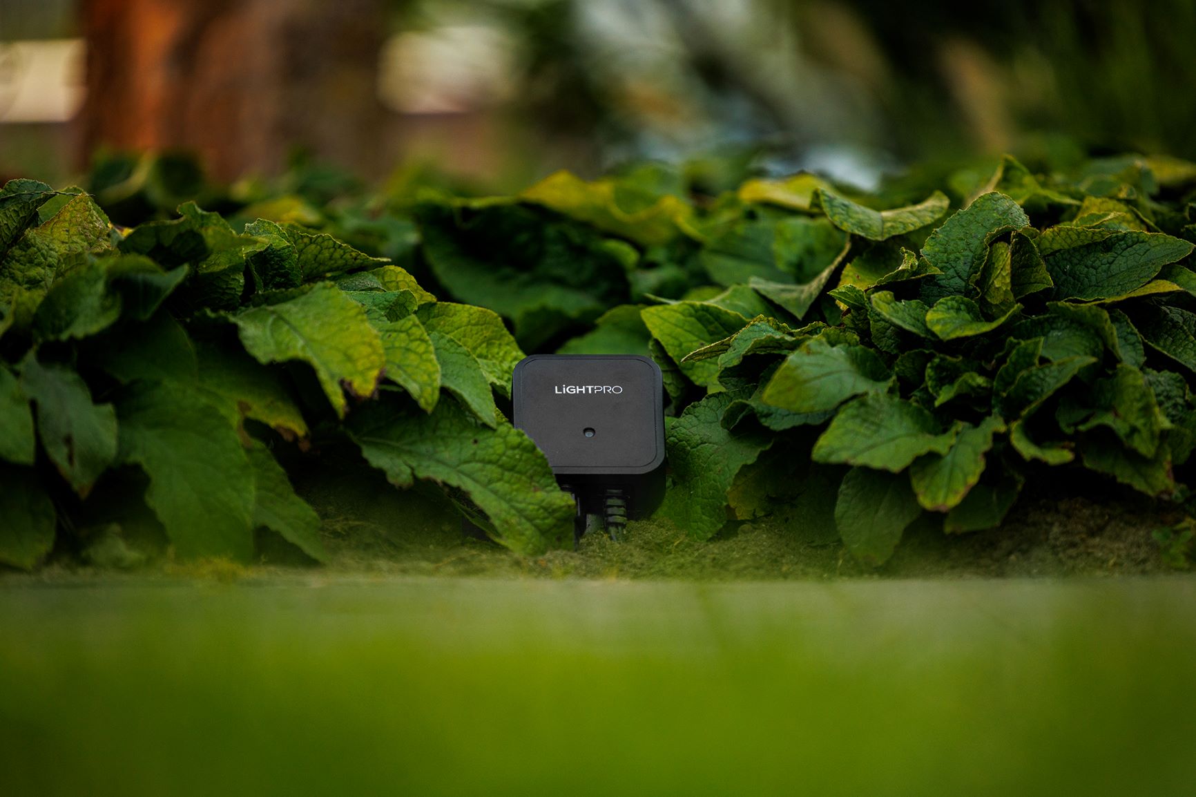 LIGHTPRO Switch Smart (WLAN)