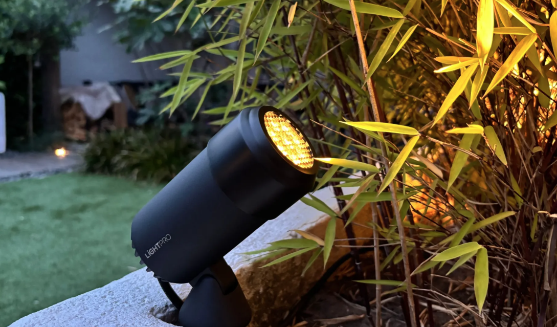 LIGHTPRO Castor Honeycomb